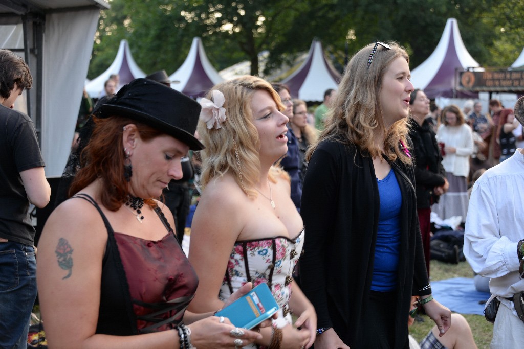 ../Images/Vrijdag Castlefest 2015 170.jpg